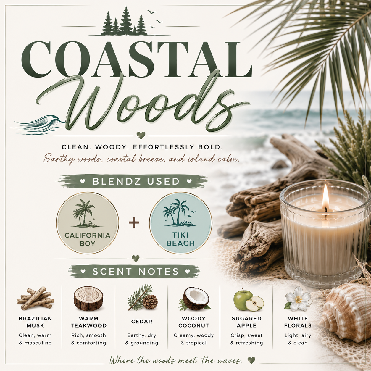 Coastal Woods